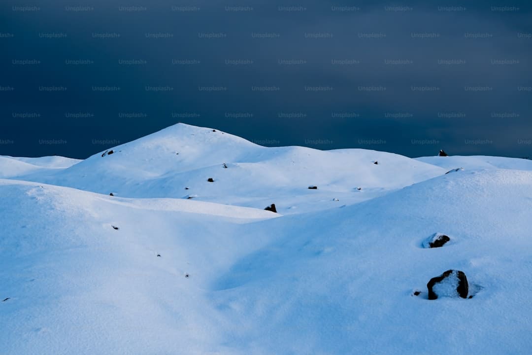 https://img2.utuku.imgcdc.com/568x0/ent/20250903/22305634-a8ad-4cc9-a4b4-18d7e8eecba5.jpg